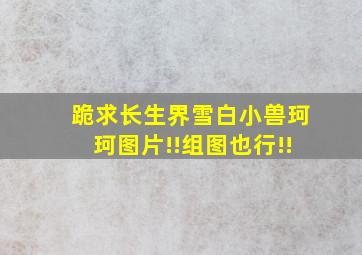 跪求长生界雪白小兽珂珂图片!!组图也行!!