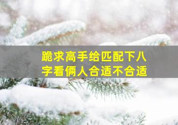 跪求高手给匹配下八字看俩人合适不合适