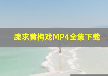 跪求黄梅戏MP4全集下载