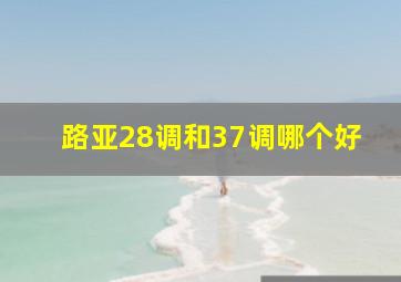 路亚28调和37调哪个好