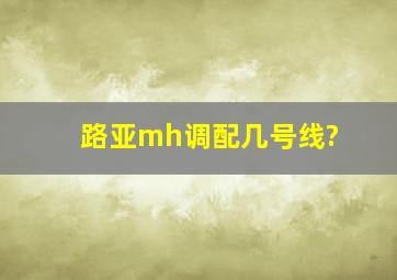 路亚mh调配几号线?