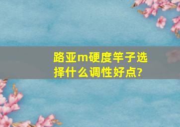 路亚m硬度竿子选择什么调性好点?