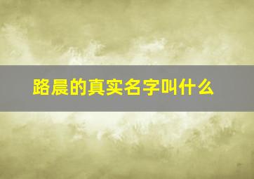 路晨的真实名字叫什么