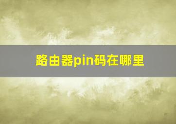 路由器pin码在哪里