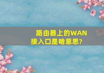 路由器上的WAN接入口是啥意思?