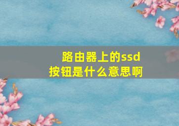 路由器上的ssd按钮是什么意思啊