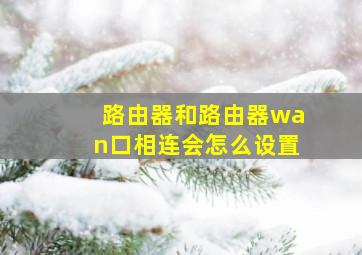 路由器和路由器wan口相连会怎么设置