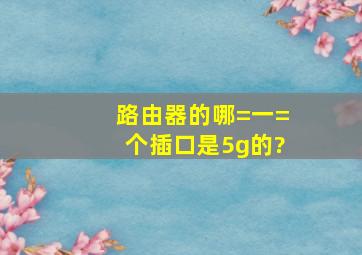 路由器的哪=一=个插口是5g的?