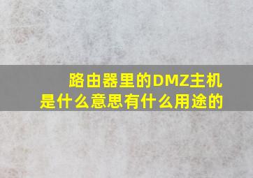 路由器里的DMZ主机是什么意思,有什么用途的