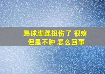 踢球脚踝扭伤了 很疼 但是不肿 怎么回事