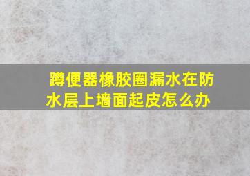 蹲便器橡胶圈漏水在防水层上墙面起皮怎么办 