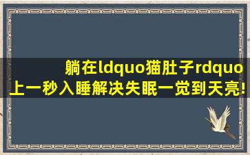 躺在“猫肚子”上一秒入睡解决失眠,一觉到天亮!