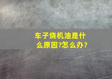 车子烧机油是什么原因?怎么办?