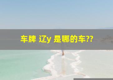 车牌 辽y 是哪的车??