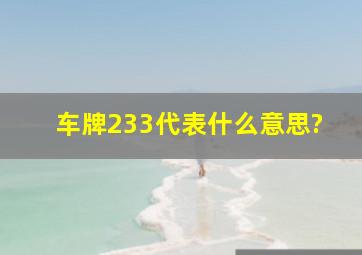 车牌233代表什么意思?