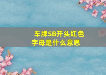 车牌SB开头红色字母是什么意思 