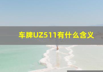 车牌UZ511有什么含义(