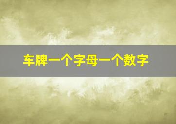 车牌一个字母一个数字