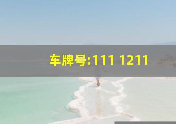 车牌号:111 1211