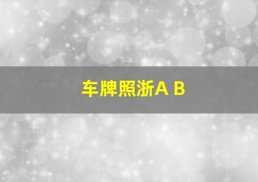 车牌照浙A B