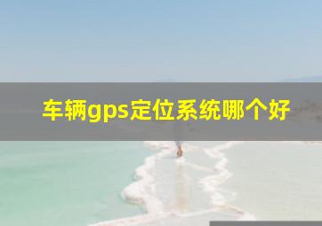 车辆gps定位系统哪个好