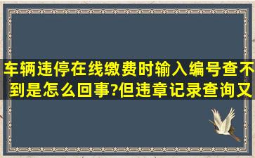 车辆违停在线缴费时输入编号查不到是怎么回事?但违章记录查询又能...