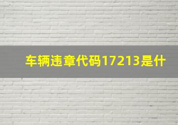 车辆违章代码17213是什(