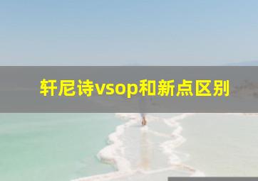 轩尼诗vsop和新点区别