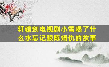 轩辕剑电视剧小雪喝了什么水忘记跟陈靖仇的故事