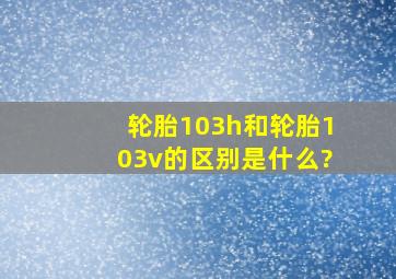 轮胎103h和轮胎103v的区别是什么?