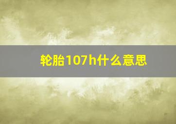 轮胎107h什么意思(