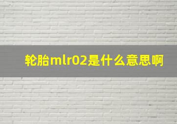 轮胎mlr02是什么意思啊