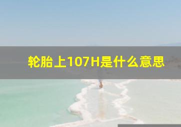 轮胎上107H是什么意思