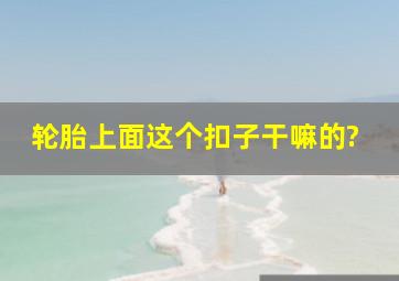 轮胎上面这个扣子干嘛的?