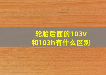 轮胎后面的103v和103h有什么区别