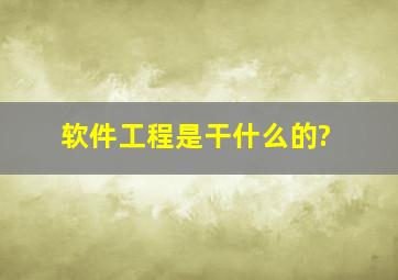 软件工程是干什么的?