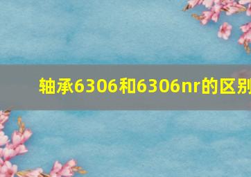 轴承6306和6306nr的区别