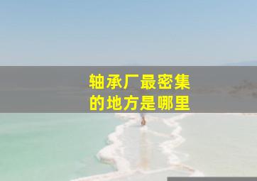 轴承厂最密集的地方是哪里