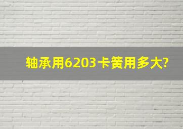 轴承用6203卡簧用多大?