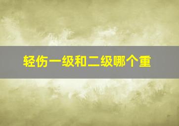 轻伤一级和二级哪个重