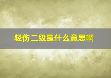 轻伤二级是什么意思啊