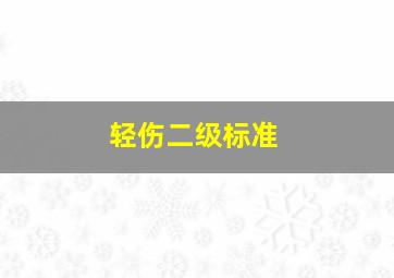 轻伤二级标准