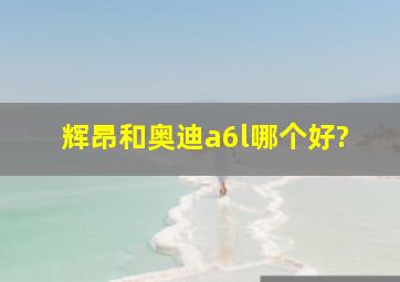 辉昂和奥迪a6l哪个好?