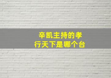 辛凯主持的孝行天下是哪个台