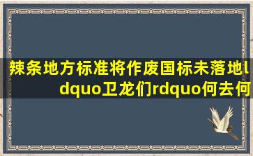 辣条地方标准将作废,国标未落地,“卫龙们”何去何从 