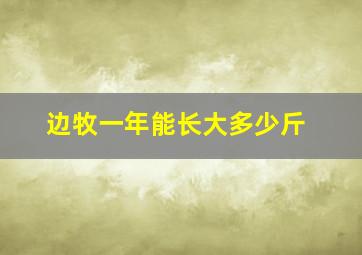 边牧一年能长大多少斤