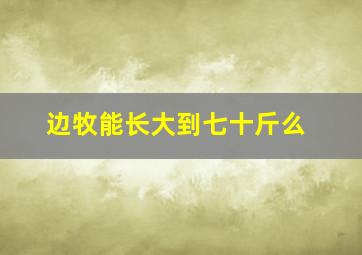 边牧能长大到七十斤么