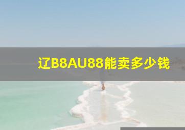 辽B8AU88能卖多少钱