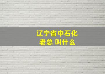 辽宁省中石化 老总 叫什么