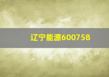 辽宁能源600758